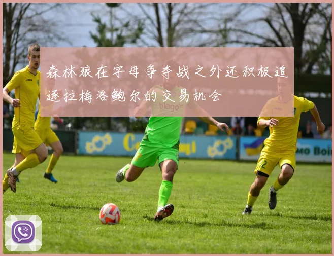 森林狼在字母争夺战之外还积极追逐拉梅洛鲍尔的交易机会